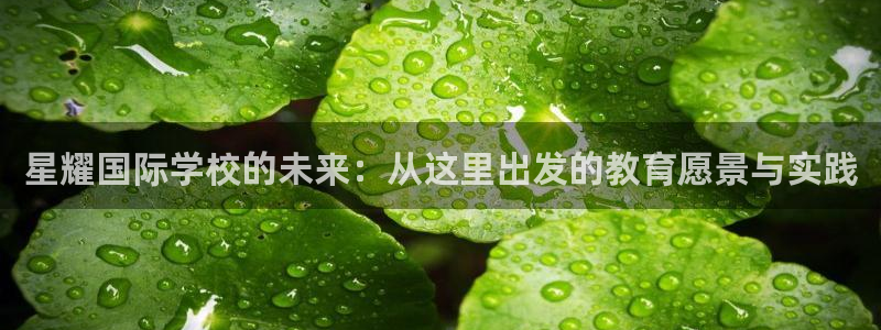 7790必发集团3登录：星耀国际学校的未来：从这里出发的教育愿景与实践