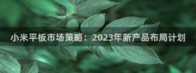 7790必发集团体育免费注册入口：小米平板市场策略：2023年新产品布局计划