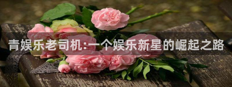7790必发集团体育注册平台：青娱乐老司机:一个娱乐新星的崛起之路