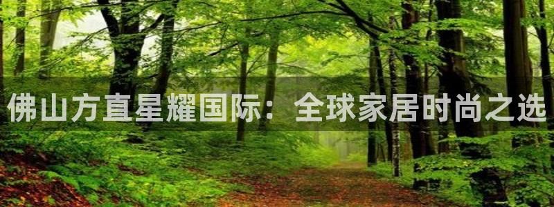 7790必发集团3官网登录：佛山方直星耀国际：全球家居时尚之选