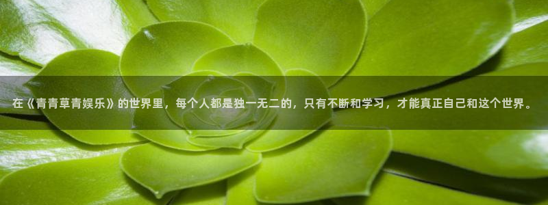 7790必发集团现在优惠多少：在《青青草青娱乐》的世界里，每个人都是独一无二的，只有不断和学习，才能真正自己和这个世界。