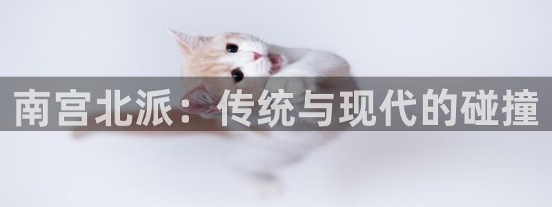 7790必发集团体育4：南宫北派：传统与现代的碰撞