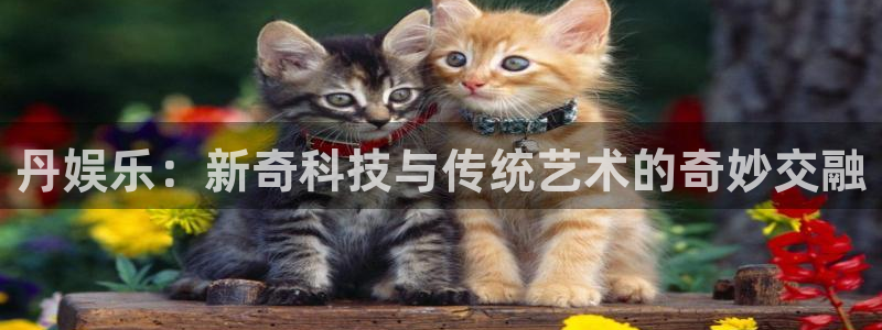 7790必发集团体育f开号：丹娱乐：新奇科技与传统艺术的奇妙交融