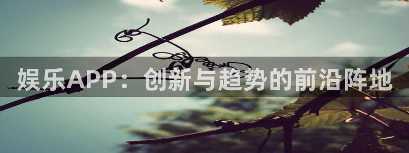 7790必发集团平台开户链接：娱乐APP：创新与趋势的前沿阵地