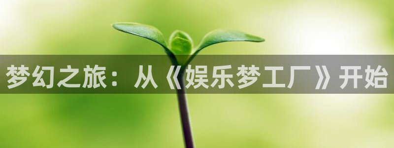 7790必发集团2官网：梦幻之旅：从《娱乐梦工厂》开始