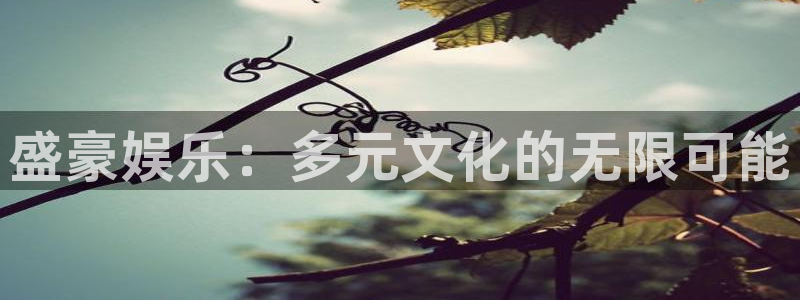 7790必发集团4代理：盛豪娱乐：多元文化的无限可能