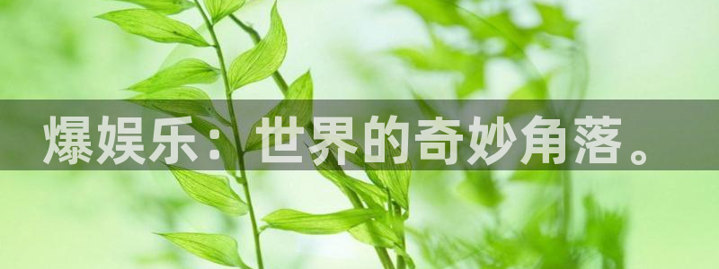 7790必发集团f凯捷注册：爆娱乐：世界的奇妙角落。