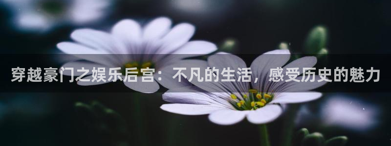 7790必发集团5招商：穿越豪门之娱乐后宫：不凡的生活，感受历史的魅力