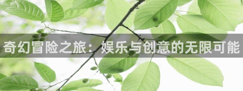 7790必发集团体育注册：奇幻冒险之旅：娱乐与创意的无限可能