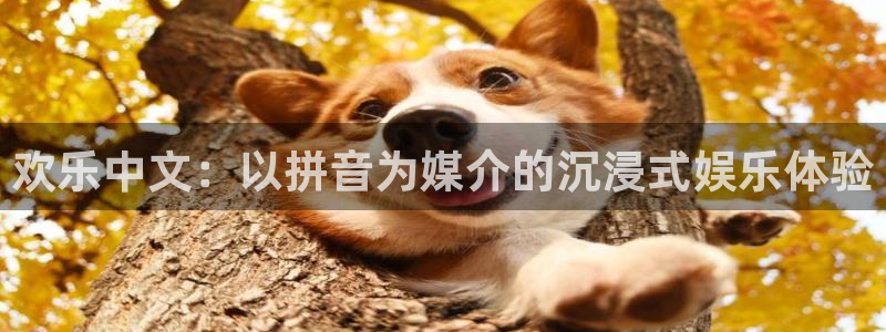 7790必发集团官网入口：欢乐中文：以拼音为媒介的沉浸式娱乐体验