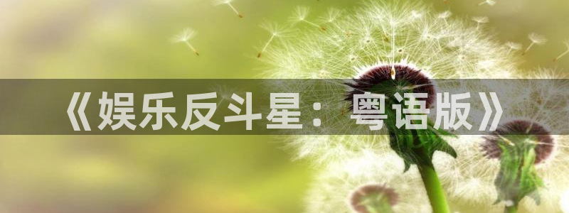 7790必发集团体育凯捷平台主管：《娱乐反斗星：粤语版》