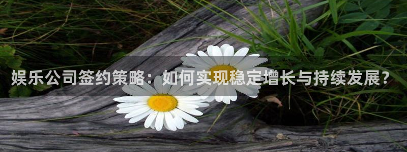 7790必发集团体育凯捷平台招商：娱乐公司签约策略：如何实现稳定增长与持续发展？