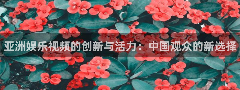 7790必发集团vk：亚洲娱乐视频的创新与活力：中国观众的新选择