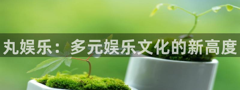 7790必发集团f凯捷注册：丸娱乐：多元娱乐文化的新高度