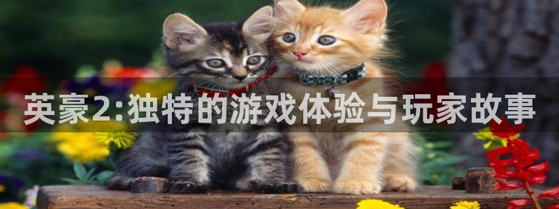 7790必发集团平台招商：英豪2:独特的游戏体验与玩家故事
