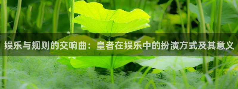 7790必发集团代理注册官网入口：娱乐与规则的交响曲：皇者在娱乐中的扮演方式及其意义