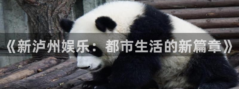 7790必发集团体育热门赛事有哪些：《新泸州娱乐：都市生活的新篇章》