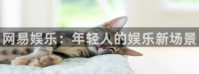 7790必发集团平台开户链接：网易娱乐：年轻人的娱乐新场景